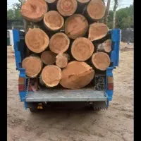 خرید چوب به قیمت خوب|خدمات باغبانی و درختکاری|صفادشت, |دیوار