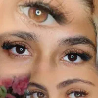مژه هیدن