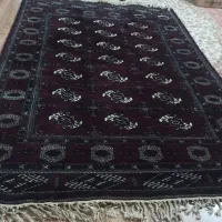 فروش فرش دستباف ترکمن|فرش|بندر ترکمن, |دیوار