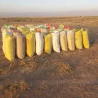 کاه خار شتری|خدمات باغبانی و درختکاری|قوچان, |دیوار