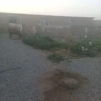 اجاره‌دامداری‌یاانبار‌کاشی‌‌ولوله‌|اجارهٔ دفتر صنعتی، کشاورزی، تجاری|تربت‌حیدریه, پائین ولایت|دیوار