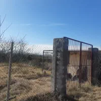 زمین-کشاورزی-باغداری-نکا