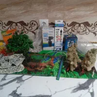 اکواریوم رایگان|ماهی|رباط‌کریم, نصیرشهر|دیوار