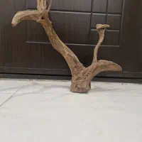 تزیینات قفس طوطی سانان