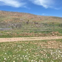 فروش باغ سرچنار..فاصله باجاده اصلی ۴کیلومتر