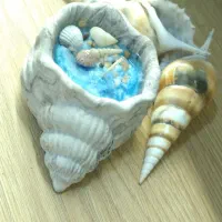 شمع گل ، روبیک فرشته و ...