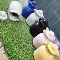 فلاکس مینی ۲۵۰میلی/پخش علیزاده