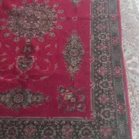 فرش ۶ متری|فرش|ساری, |دیوار