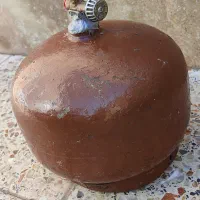 پیک نیک سالم