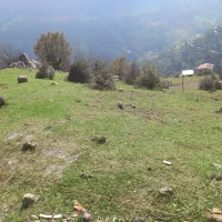 فروش-زمین-به-مساحت-300متر-مسکونی-در-تالش-ایربو