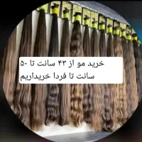 موی شما را به بالاترین قیمت خریداریم|خدمات آرایشگری و زیبایی|مشهد, گلشور|دیوار