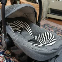 کریر نوزاد|کالسکه و لوازم جانبی|فومن, |دیوار