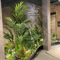 دراسینا مصنوعی/دیزاین باکس فرودگاه با گیاه وارداتی