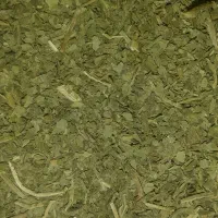نعنا بوی تازگیش کل خونه میپیچه