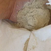 سبوس جو