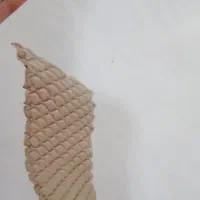 تشک مواج Bluer KY-62012 نو فقط باز شده برای دیدن|پزشکی|شیراز, بریجستون|دیوار