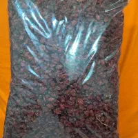 عرقیات|خوردنی و آشامیدنی|قرچک, میرزائی شمالی|دیوار