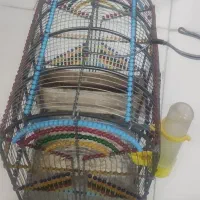 قفس دستبافت بروجردی