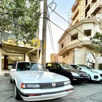 الدزمبیل کاتلاس بدون رنگ در حد