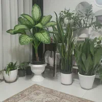 خدمات نظافت