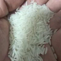 فروش برنج اعلا پاکستانی / اقای رستمی
