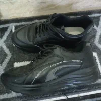 کفشهای تمیز|کیف، کفش، کمربند|سنندج, |دیوار