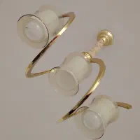 لوسترسه شاخه درحدنو