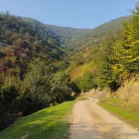 گردشگری،شراکت ،زمین دارم