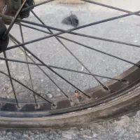 دوچرخه حرفه‌ای 000\3000تومان|دوچرخه، اسکیت، اسکوتر|سقز, |دیوار