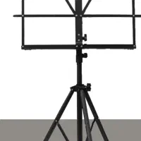 فروش ویولن ، بدون عیب|ویولن|سقز, |دیوار