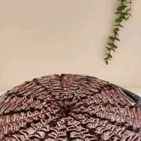 کیک خیس کافه و تولد و مناسبت ها زیر قیمت