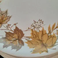 پلو خوری ملامین|ظروف سرو و پذیرایی|تهران, خزانه|دیوار