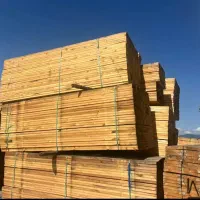 تخته زیرپایی روس و ایرانی و تخته بنایی hilevکد۱۸۲۵|مصالح و تجهیزات ساختمان|تهران, دستغیب|دیوار