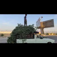 هرس کاری خریدچوب وبرش درخت|خدمات باغبانی و درختکاری|اهواز, فرهنگ شهر|دیوار