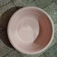 لگن پلاستیکی