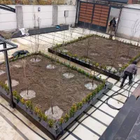 باغبانی .هرس درخت و درختچه .سم پاشی|خدمات باغبانی و درختکاری|کرج, دهقان ویلا|دیوار