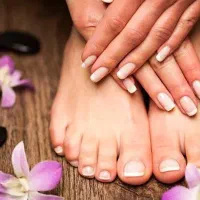 خدمات تخصصی اپلاسیون پلاس