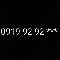 *** 92 92 0919