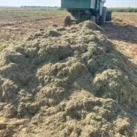 فروش کاه ماش خرمن کوب|خدمات باغبانی و درختکاری|دزفول, |دیوار