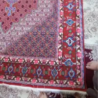 فرش 6متری دستبافت|فرش|سنندج, |دیوار