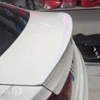 بال‌عقب شاهین