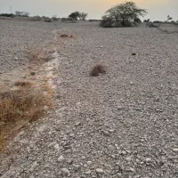 فروش زمین پیرچیلی(قلعه قاضی)