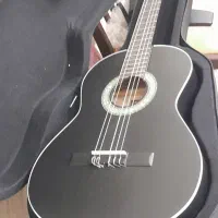 گیتار پارسی