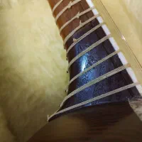 تار فرامرز شکرخواه|سازهای سنتی|تهران, سازمان آب|دیوار