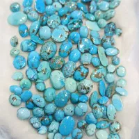 فیروزه نگینی عجمی اقتصادی