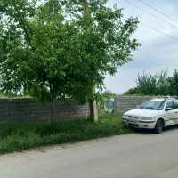 باغ-ایستاده-کنار-اسفالت