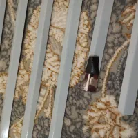 وسایل لوکسی۴۰۵|قطعات یدکی و لوازم جانبی|بوئین زهرا, |دیوار