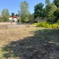 فرصت طلایی سرمایهگذاری در منطقهای خوشآبوهوا|فروش زمین و ملک کلنگی|کجور, |دیوار