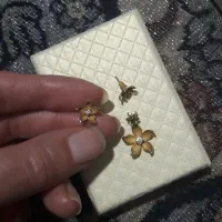 حدود۱۵گرم‌طلا