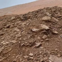 کودبار گوسفندی و گاوی و مرغی